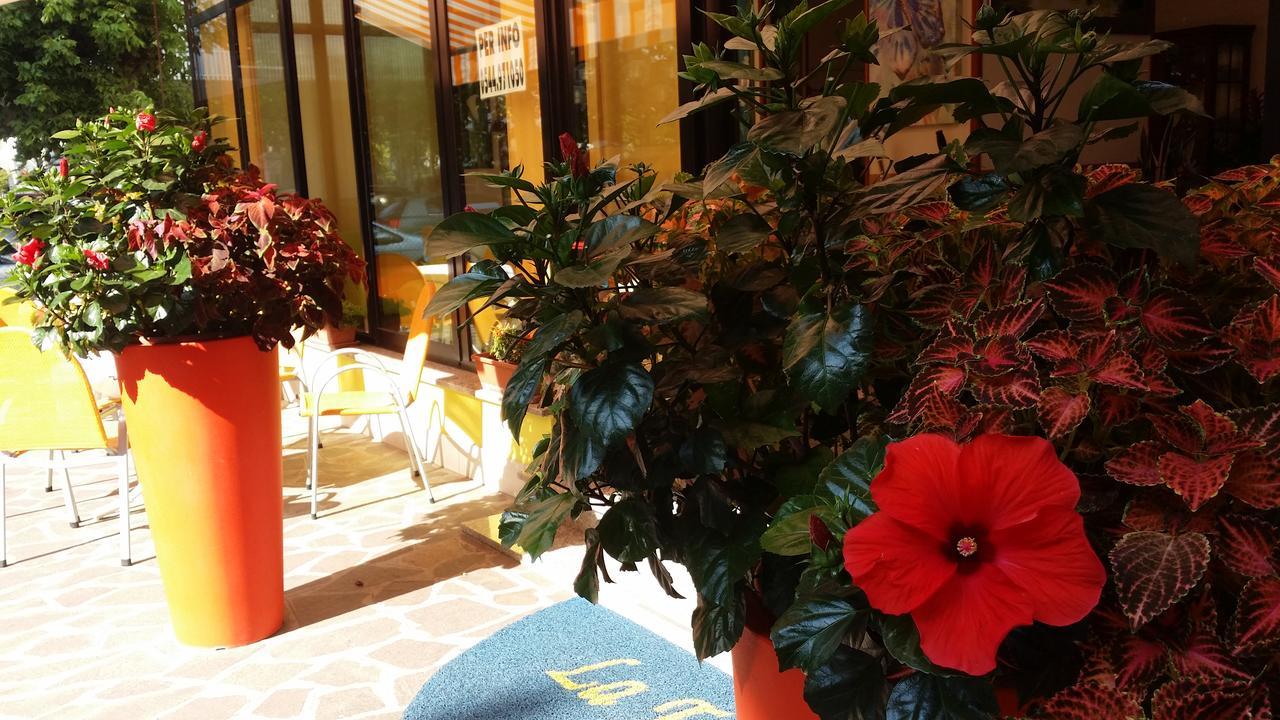Hotel La Falena Cervia Bagian luar foto
